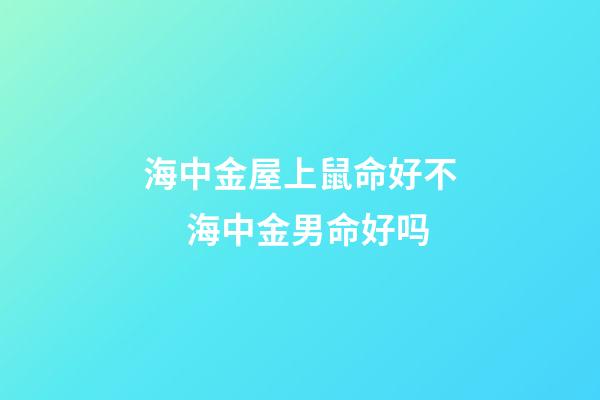 海中金屋上鼠命好不 　海中金男命好吗